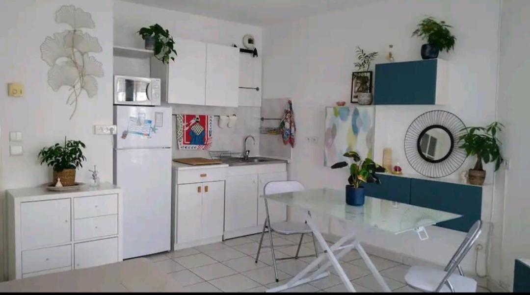 Logement Entier - Les Baumettes Nice Exterior photo